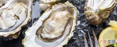 新鲜生蚝常温下可以放几天 新鲜生蚝可以保存几天