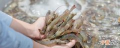 冻虾怎么处理干净 冻虾怎么清洗