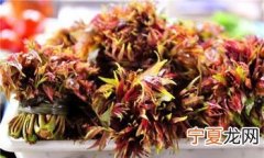 香椿的吃法与禁忌