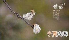 小满惊蛰芒种哪个不属于夏季 小满惊蛰芒种不属于夏季的节气