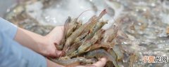 虾怎么做适合小孩吃 虾仁豆腐豌豆泥粥的做法