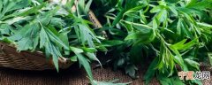 艾草叶怎么做吃最好 艾草做法大全