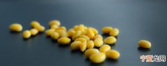 黄豆怎么吃适合 黄豆可以怎么吃