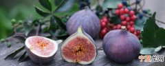无花果冷冻后怎样吃？ 无花果冷冻后如何食用呢