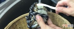 螃蟹怎么清洗好 螃蟹如何清洗干净呢