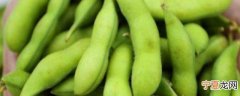 新鲜毛豆角如何保存 新鲜毛豆角怎样保存