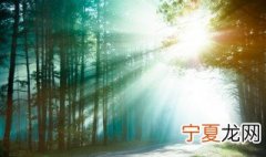 森林里的瘴气是什么 什么是森林里的瘴气