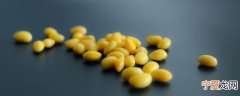 怎样判断变质的黄豆 如何判断黄豆坏没