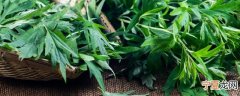 艾叶止痒要煮多久 艾叶止痒需要煮多长时间