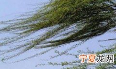 大风天气小妙招 刮风如何预防