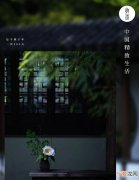 读过人间诗几首修得山中一日禅,晓出净慈寺送林子方其一