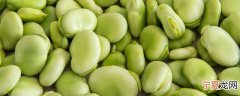 蚕豆如何保存才新鲜 蚕豆怎么保存