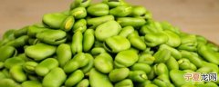 新鲜兰花豆如何保存 新鲜兰花豆怎么保存