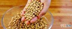 干大豆如何保存 干大豆怎么保存