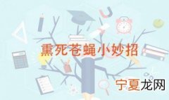 熏死苍蝇小妙招 分享驱蝇方法五招