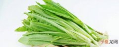 油麦能生吃吗 油麦菜可以生吃吗