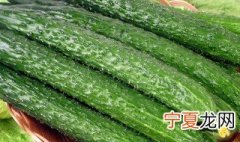 怎么种黄瓜小妙招 这样种出来的黄瓜最好吃