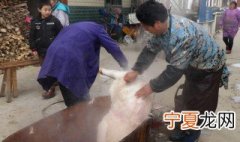 猪烫毛图片 烫猪毛方法
