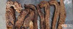肉苁蓉可以直接吃吗 肉苁蓉能不能直接食用呢