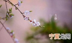 立春是二十四节气 二十四节气立春的含义
