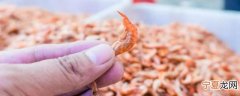 干虾籽如何保存 干虾籽怎么保存