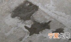 楼板裂缝最佳修复方法是什么 楼板裂缝最佳修复方法