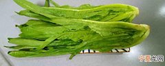 新鲜的油麦菜怎么保存 油麦菜如何保存新鲜