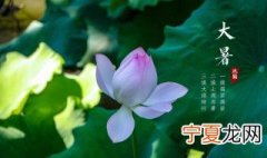 小暑和大暑哪个更热 小暑和大暑分别是什么时候
