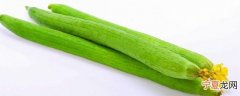丝瓜炒肉片怎么炒好吃 如何做丝瓜炒肉片