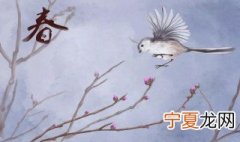 2021年立春有什么讲究 2021立春的风俗有哪些