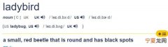 bug什么意思中文，gm 什么意思中文