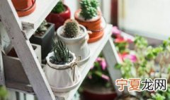 什么材质的花盆好 种花什么材质的花盆好
