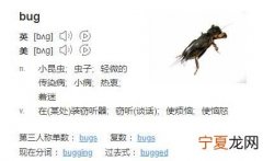 bug什么意思中文翻译，你是一个bug什么意思