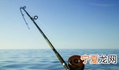 鱼如何在水中沉浮 鱼为何能在水中自由沉浮