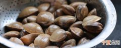 蛤蜊如何清洗干净 蛤蜊怎样处理清洗才更干净