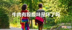 牛肉有股酸味是坏了吗