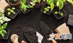 什么是温室栽培 温室栽培的解释