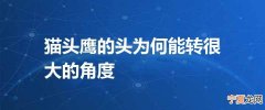 猫头鹰的头为何能转很大的角度