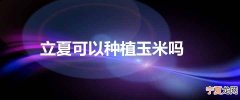 立夏可以种植玉米吗
