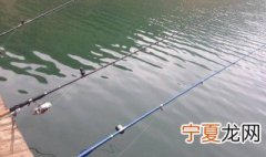 用蚯蚓钓鲫鱼调漂技巧? 手竿用蚯蚓钓鲫鱼调漂技巧