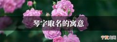 绮琴的寓意，带有琴字的女人