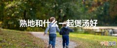 熟地和什么一起煲汤好