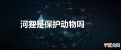 河狸是保护动物吗