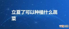 立夏了可以种植什么蔬菜