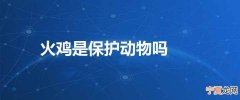 火鸡是保护动物吗
