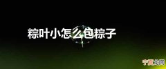 粽叶小怎么包粽子