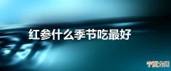 红参什么季节吃最好