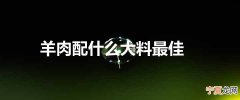 羊肉配什么大料最佳