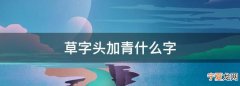 草字头加官怎么读，艹字头加官是什么字