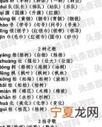 榕组词 榕组什么词
